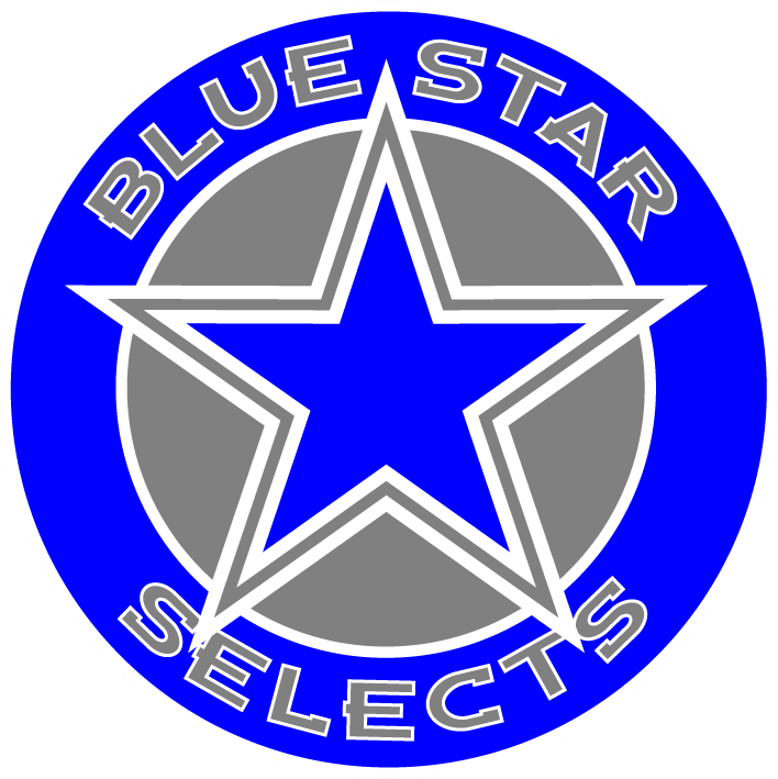 bluestar19gray copie